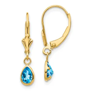 14k Yellow Gold Blue Topaz Birthstone Earrings
