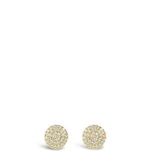 Absolute Gold Stud Earrings