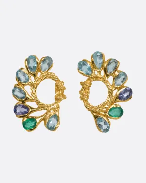 Cocar Earrings