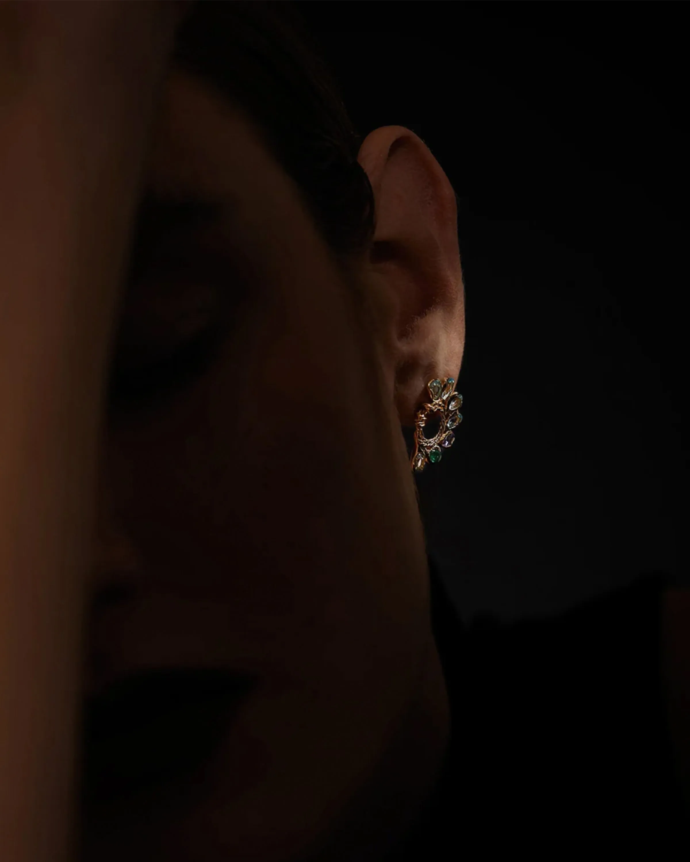 Cocar Earrings