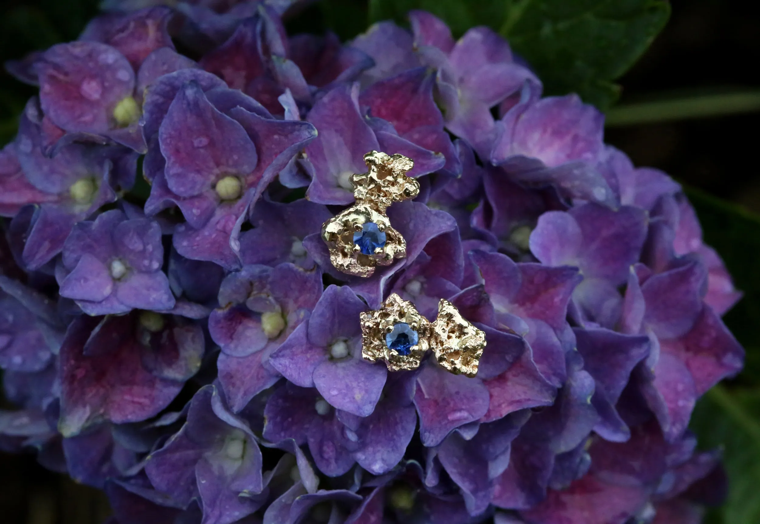Out Of The Sea 14k Yellow Gold Earrings with Sapphire