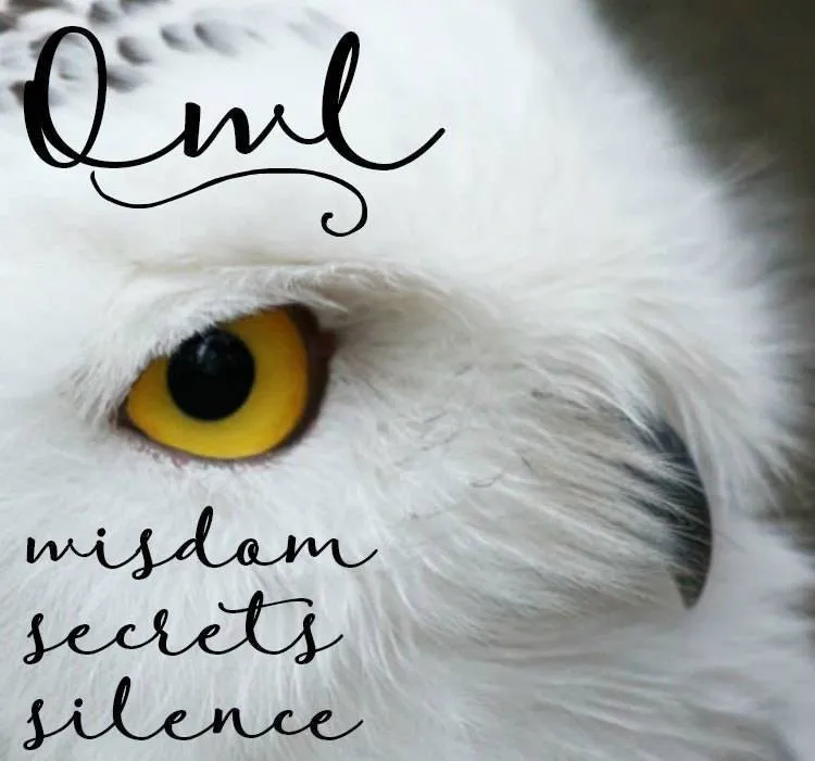 Summer Night Owl Earrings